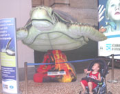 Da's een grote schildpad!